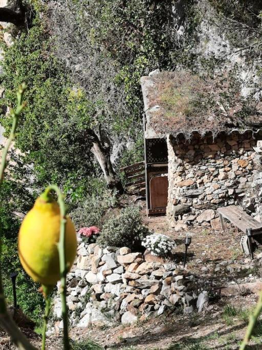 Chalet Zenitude Breil-sur-Roya Exterior photo